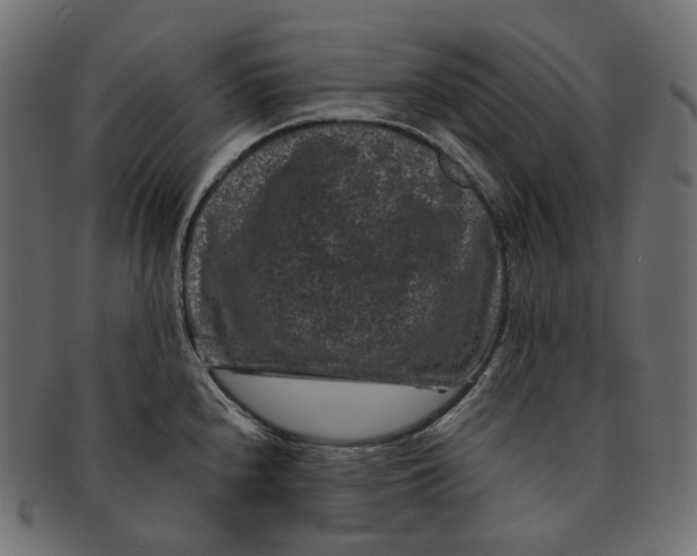 X0000091731240200709211014