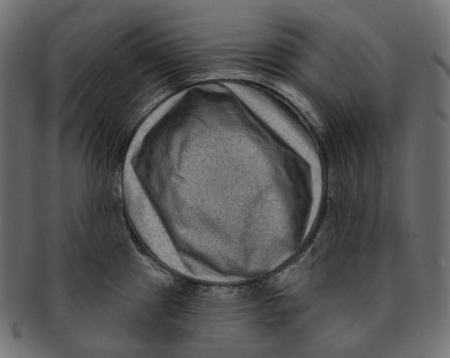 X0000091731241200709211014