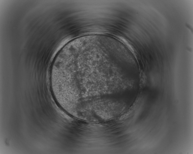 X0000091731243200709211014