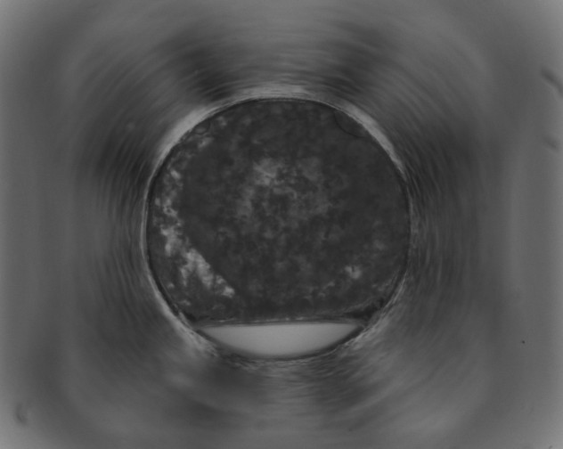 X0000091731245200709211014