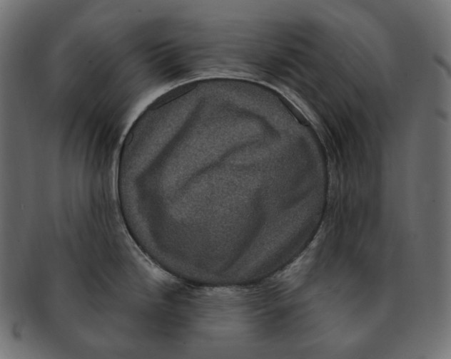 X0000091731246200709211014