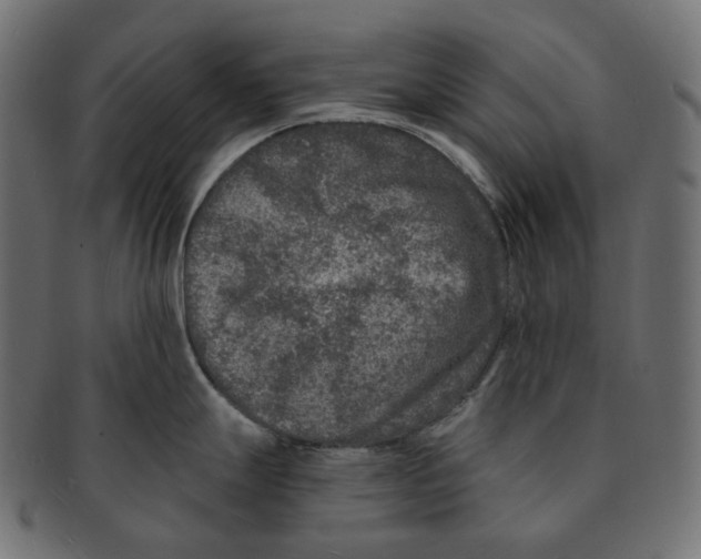 X0000091731247200709211014