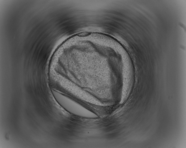 X0000091731248200709211014