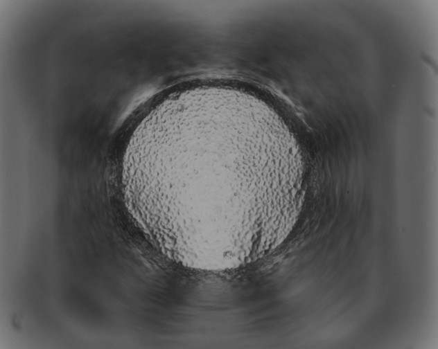 X0000091731255200709211013