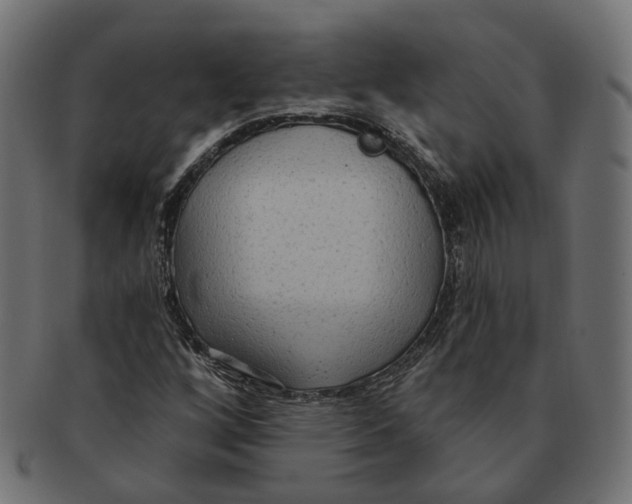 X0000091731256200709211013