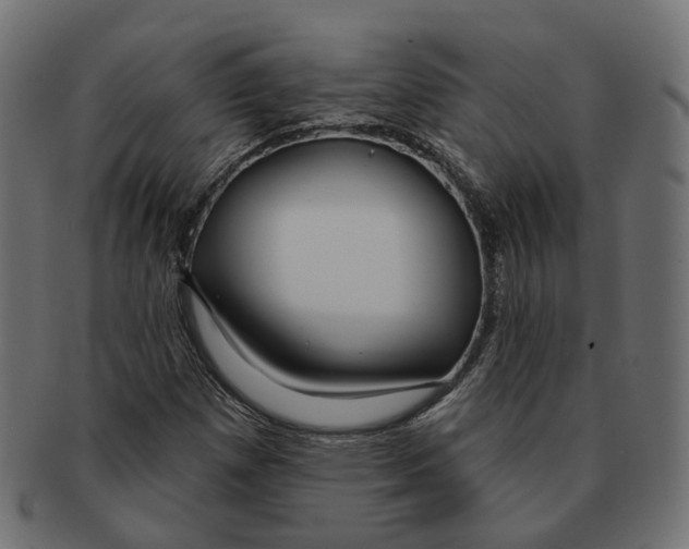 X0000091731257200709211013