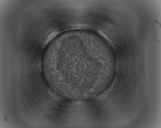 X0000091731259200709211013