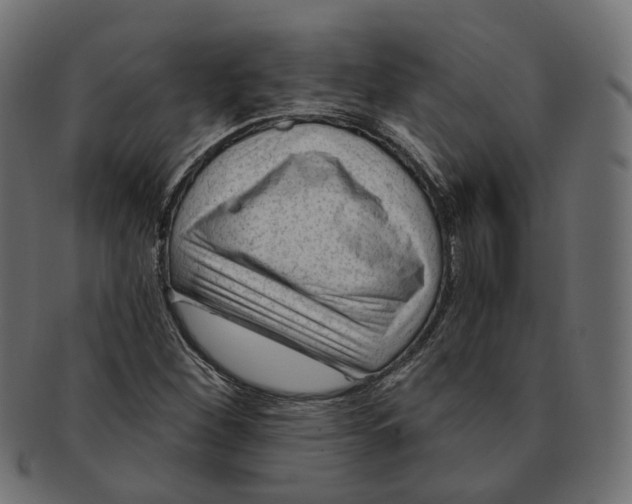 X0000091731260200709211013