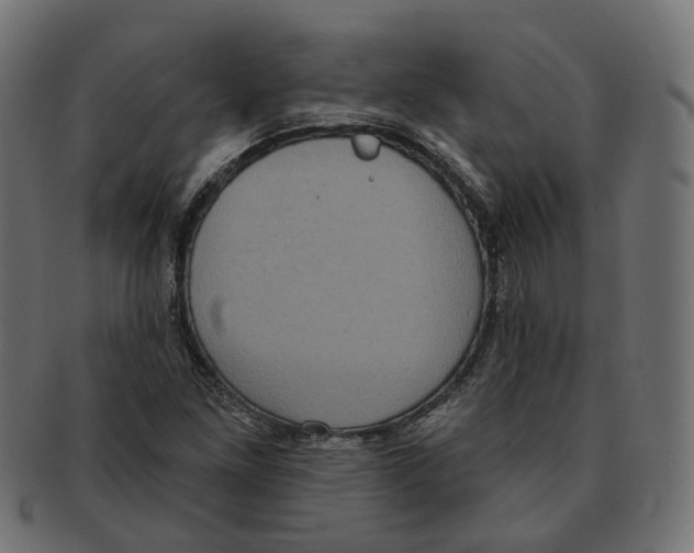 X0000091731261200709211013