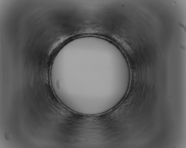 X0000091731262200709211013