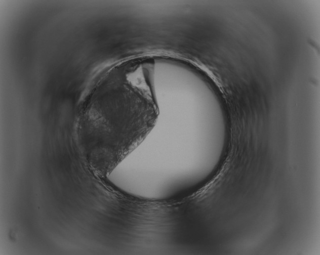 X0000091731263200709211013