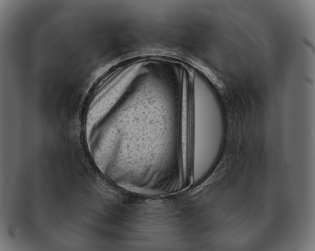 X0000091731264200709211013