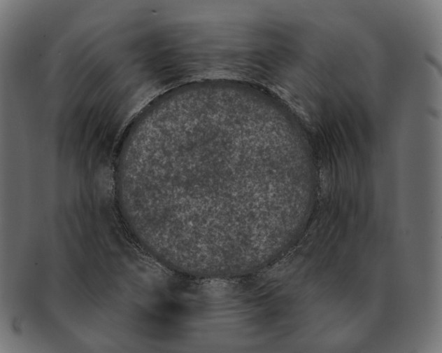 X0000091731266200709211013