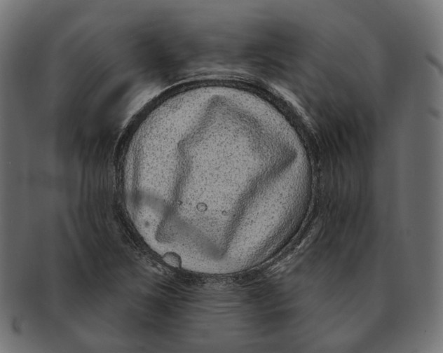 X0000091731267200709211013