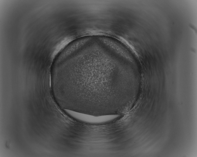 X0000091731269200709211013