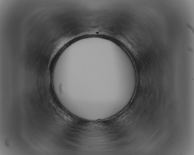 X0000091731270200709211013