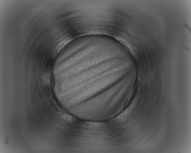 X0000091731273200709211013