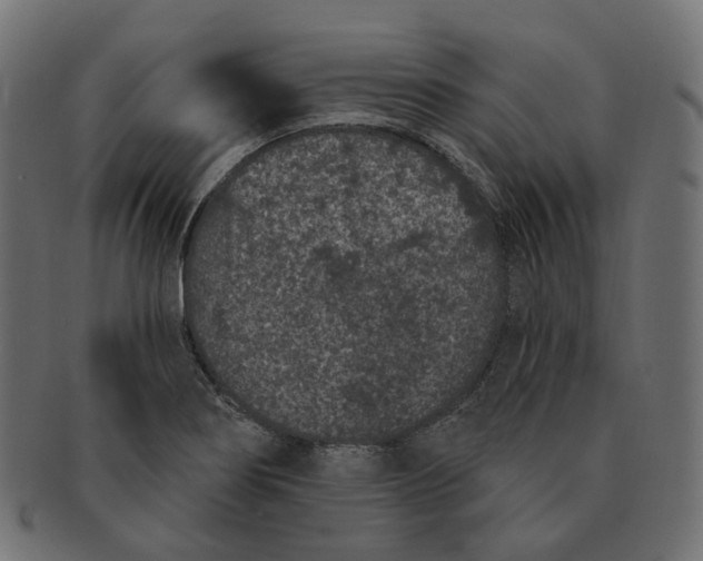 X0000091731274200709211013