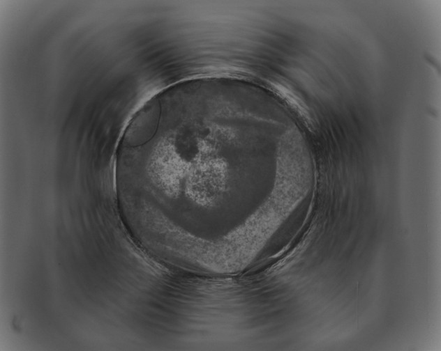 X0000091731275200709211013