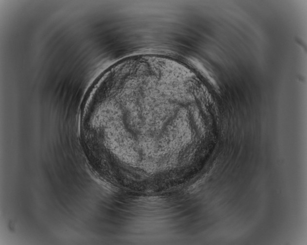 X0000091731276200709211013