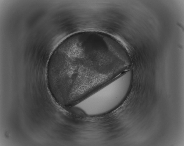 X0000091731279200709211013