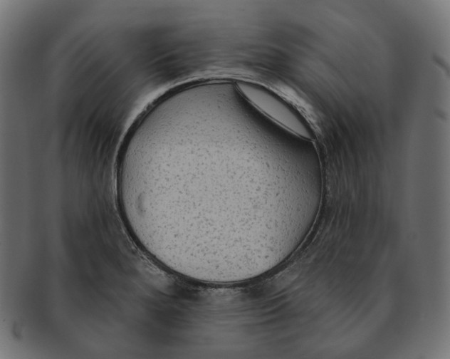 X0000091731280200709211013