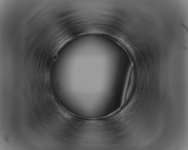 X0000091731281200709211013