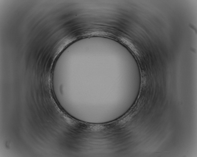 X0000091731282200709211013