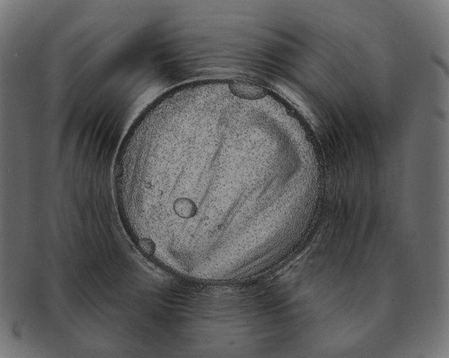 X0000091731283200709211013