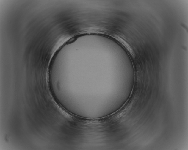 X0000091731285200709211013