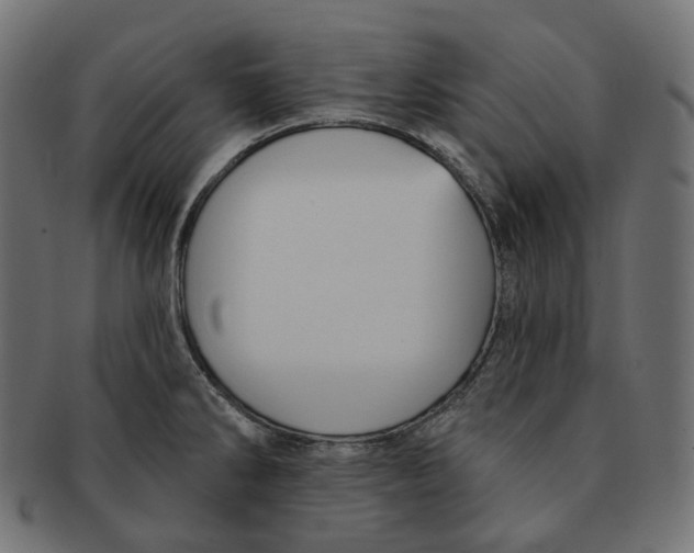 X0000091731286200709211013