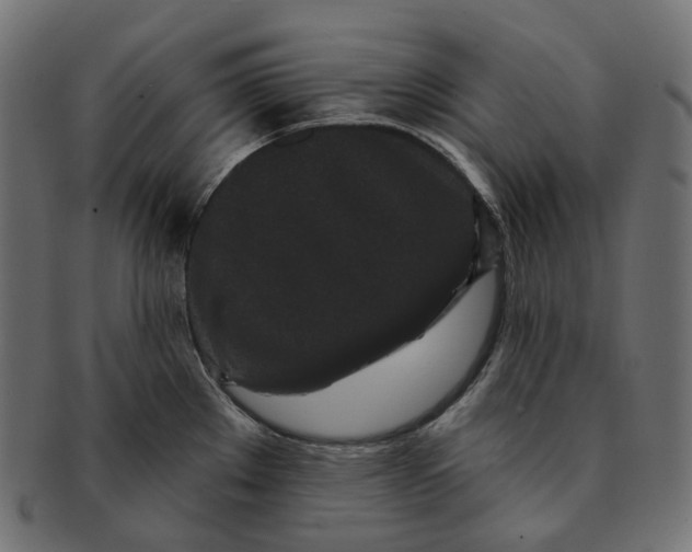 X0000091731289200709211013