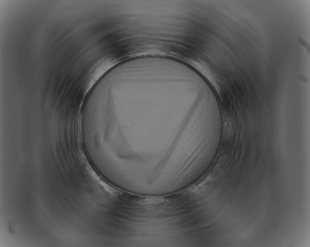 X0000091731290200709211013