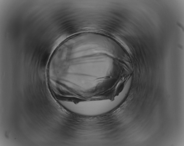 X0000091731291200709211013