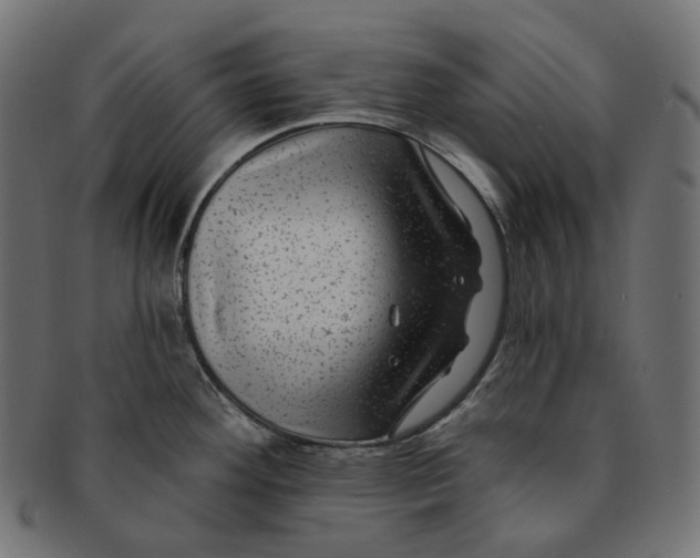 X0000091731292200709211013