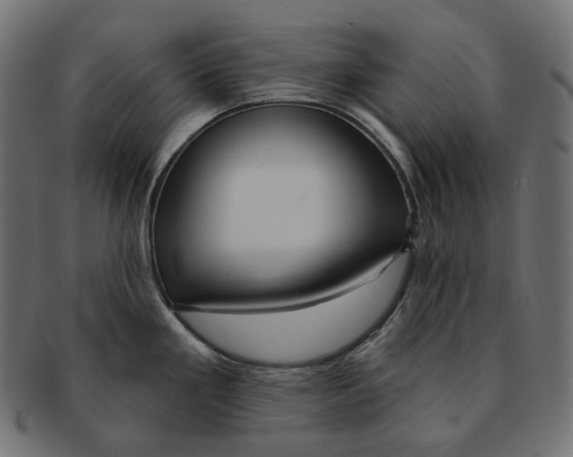 X0000091731293200709211013