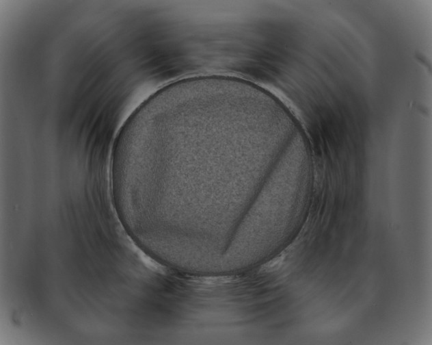 X0000091731294200709211013