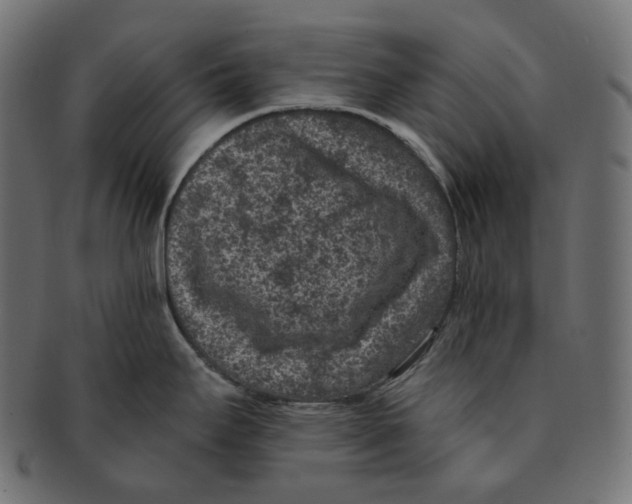 X0000091731295200709211013