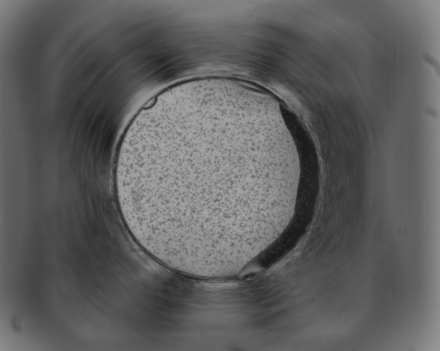 X0000091731296200709211013