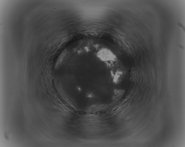 X0000091731297200709211012