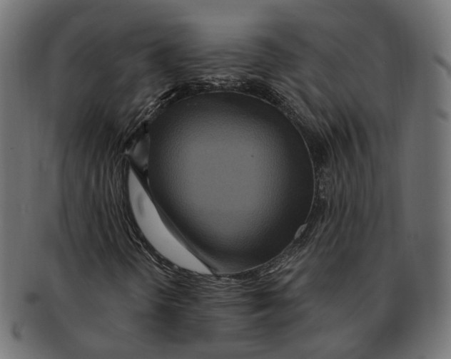 X0000091731298200709211012