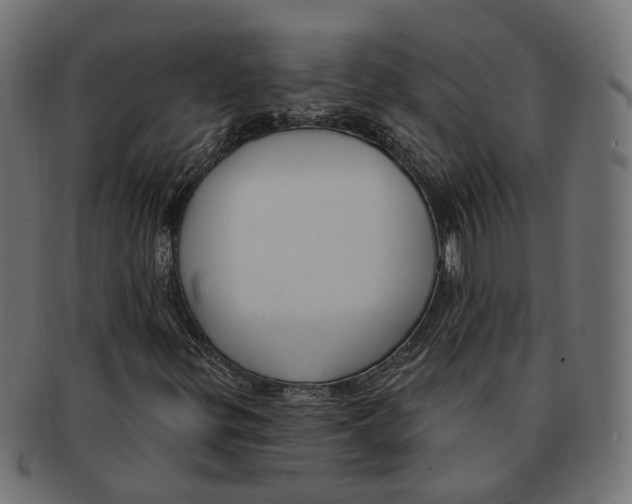 X0000091731299200709211012