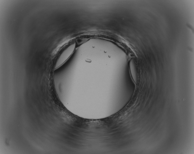 X0000091731304200709211012