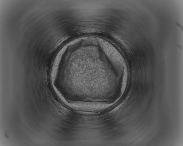 X0000091731305200709211012