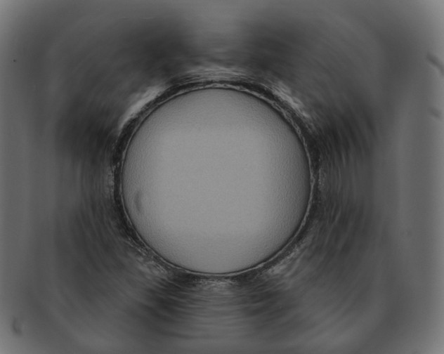 X0000091731309200709211012