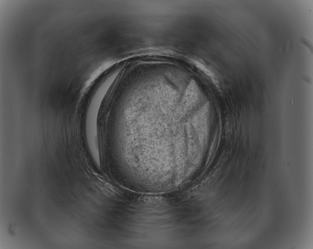 X0000091731310200709211012