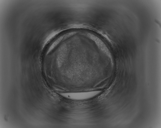 X0000091731311200709211012