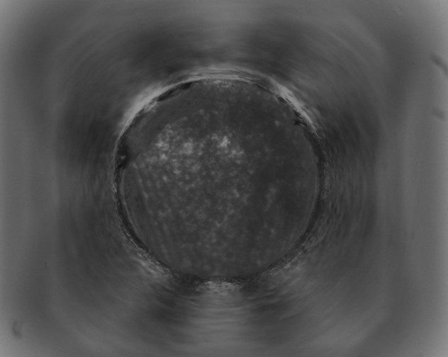 X0000091731312200709211012