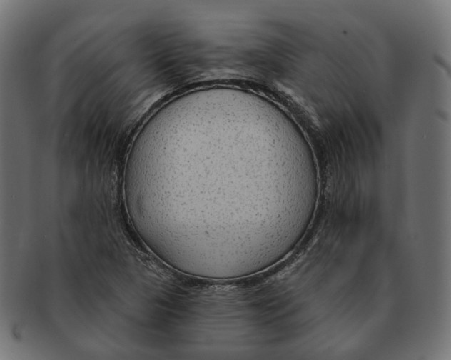 X0000091731313200709211012