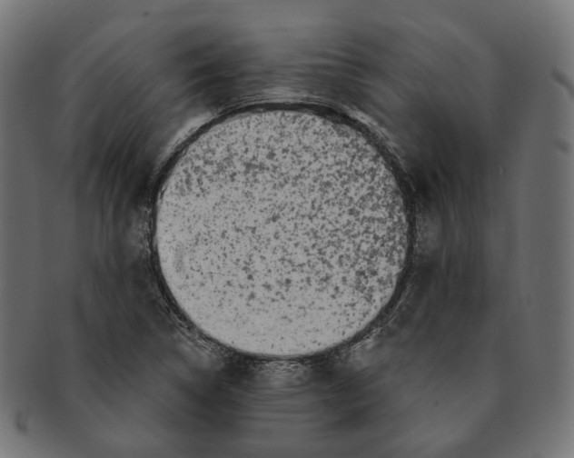 X0000091731314200709211012